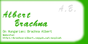 albert brachna business card